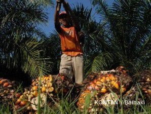 Kedelai dan Emas Hitam Surung Peningkatan Harga CPO