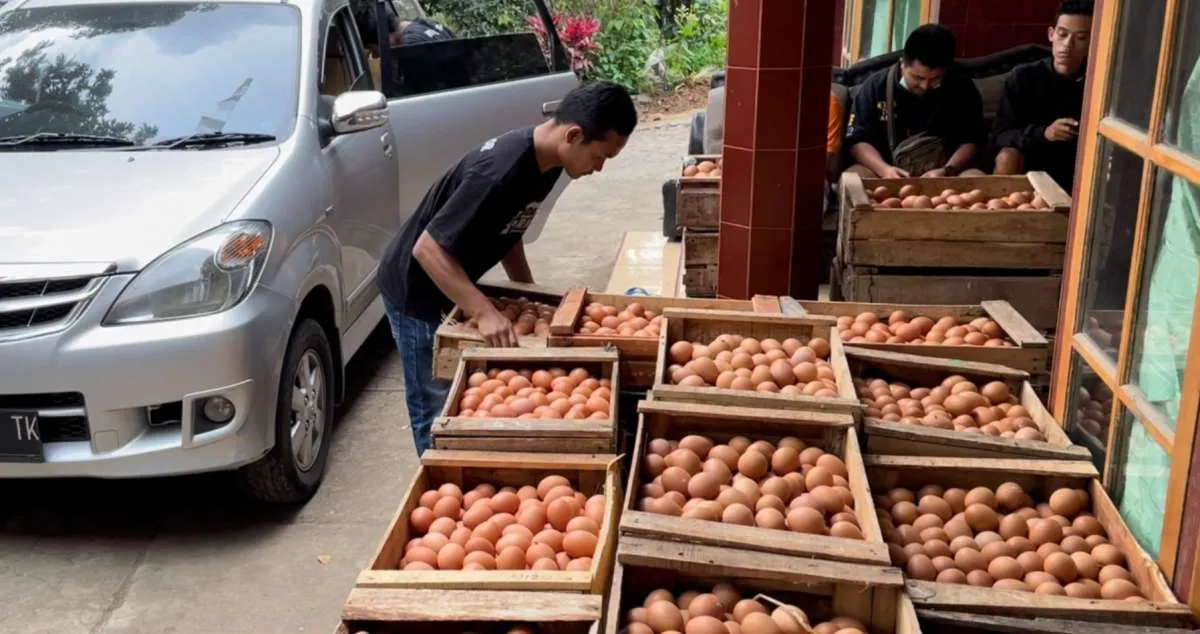 Japfa (JPFA) turut menyerap telur peternak rakyat