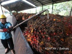 Minyak terkoreksi tajam, harga CPO tumbang hingga 2,1%