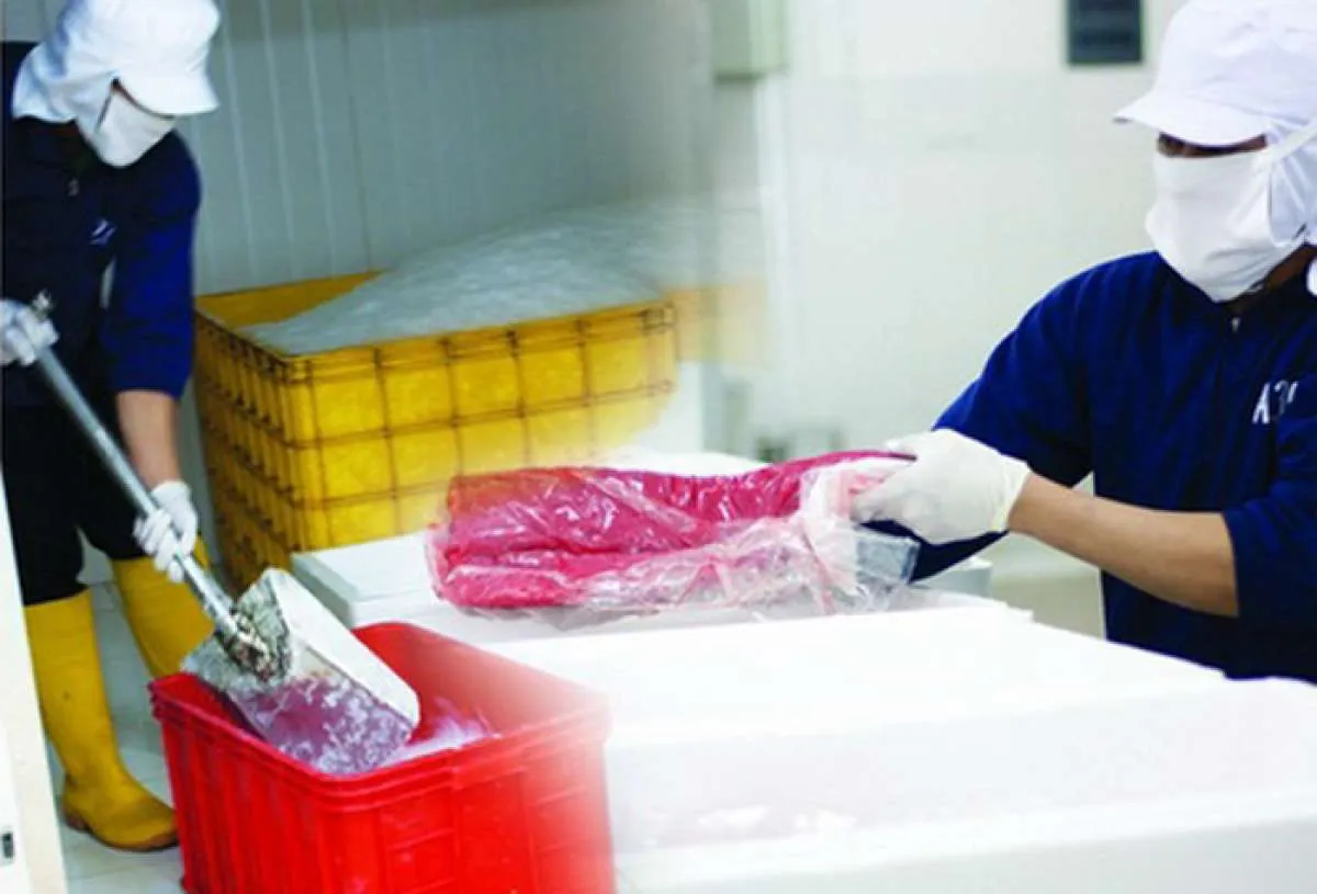 Kejar target, Era Mandiri Cemerlang (IKAN) berupaya atasi kendala pengiriman produk
