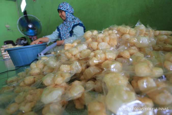 Cegah Kebocoran KUR, Menkeu Purbaya Mau Ambil PNM dari BRI dan Danantara