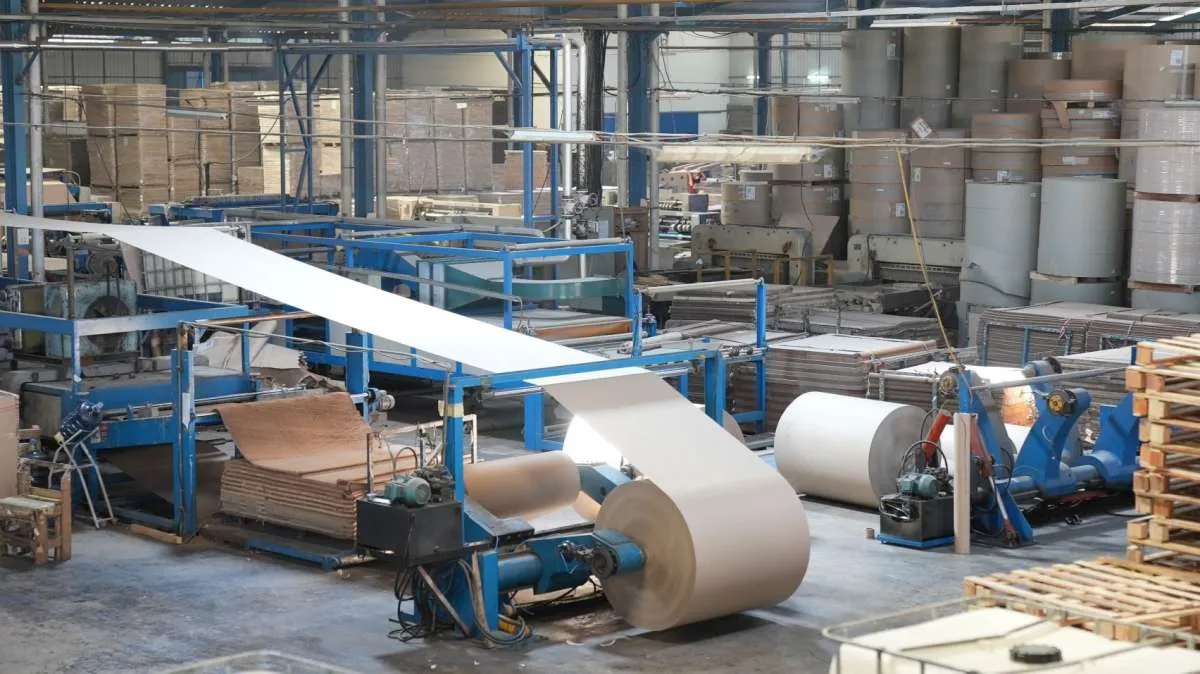 ALDO Bukukan Penjualan Rp1,40 trilliun, Laba Bersih Rp 65,76 miliar Saat Biaya Naik