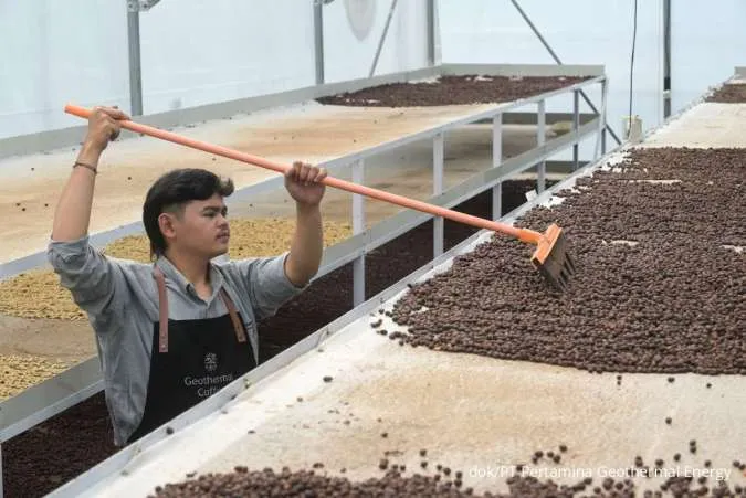 PGEO Kembangkan Alat Pengeringan dan Pengolahan Limbah Kopi di Komajang