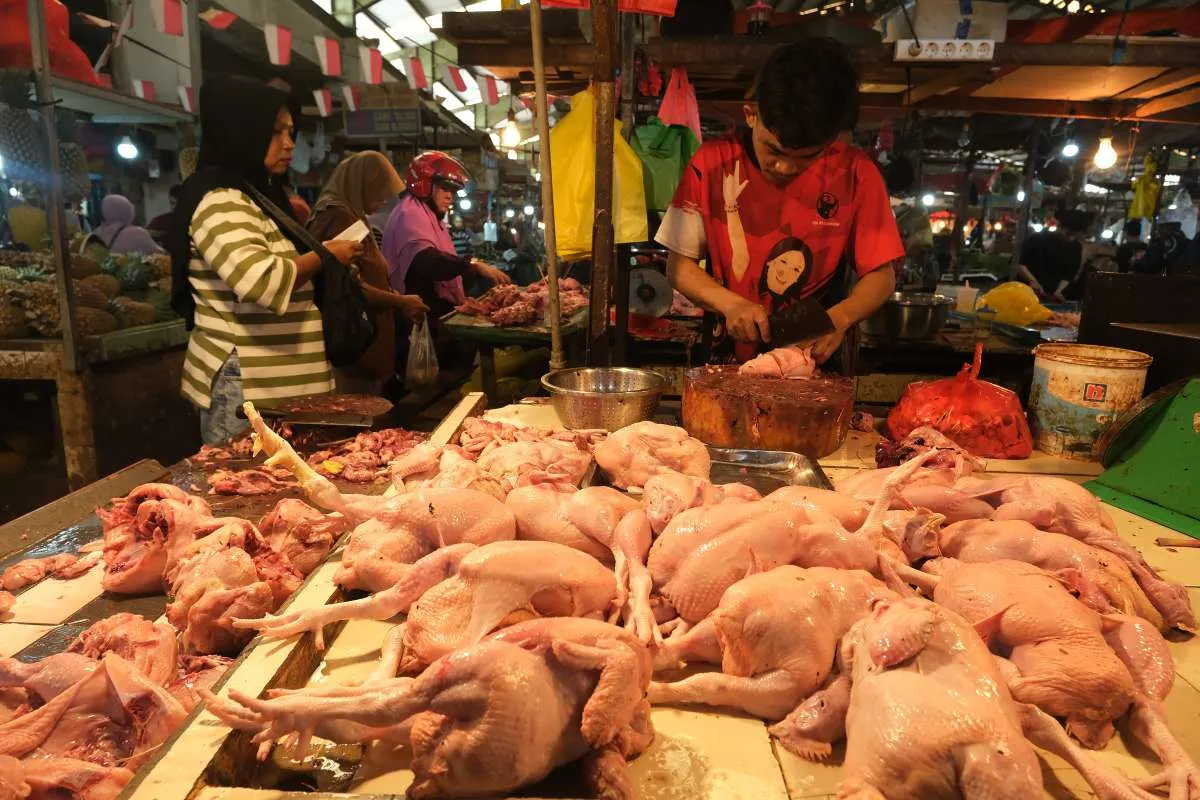 Mendag Pastikan Harga Daging Ayam Saat Ramadan Terjaga meski Kini Masih di Atas HAP