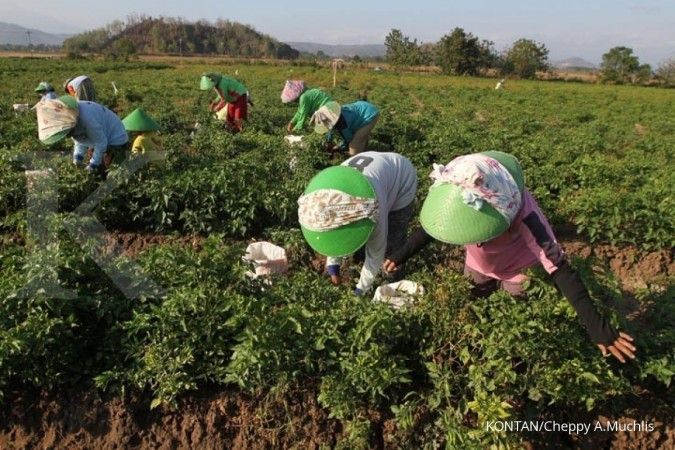 Pemerintah Dorong Peranan Perempuan dalam Sektor Pertanian