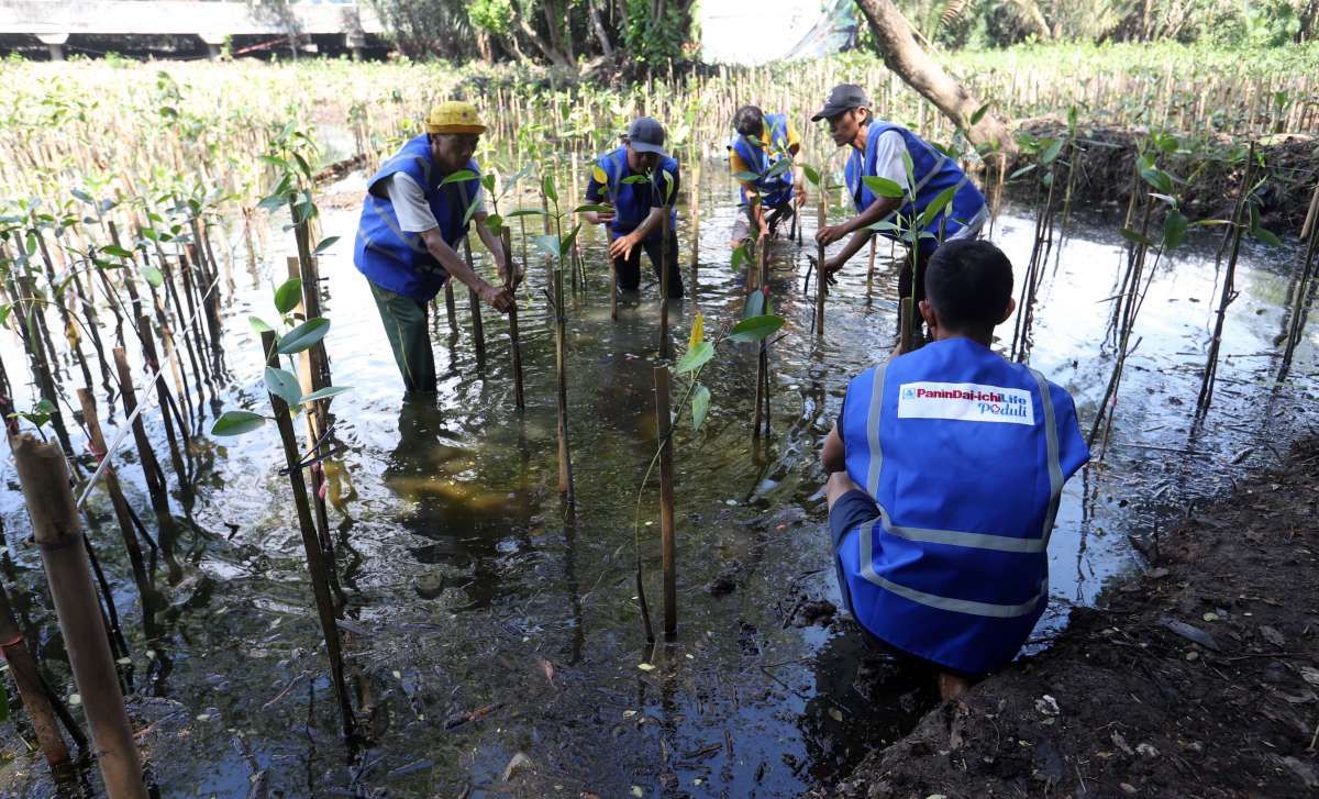 Panin Dai-ichi Life Peduli Mangrove