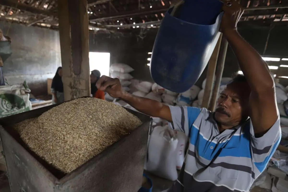 Ketatnya Persaingan Usaha Penggilingan Pagi, Ini Kata Perpadi