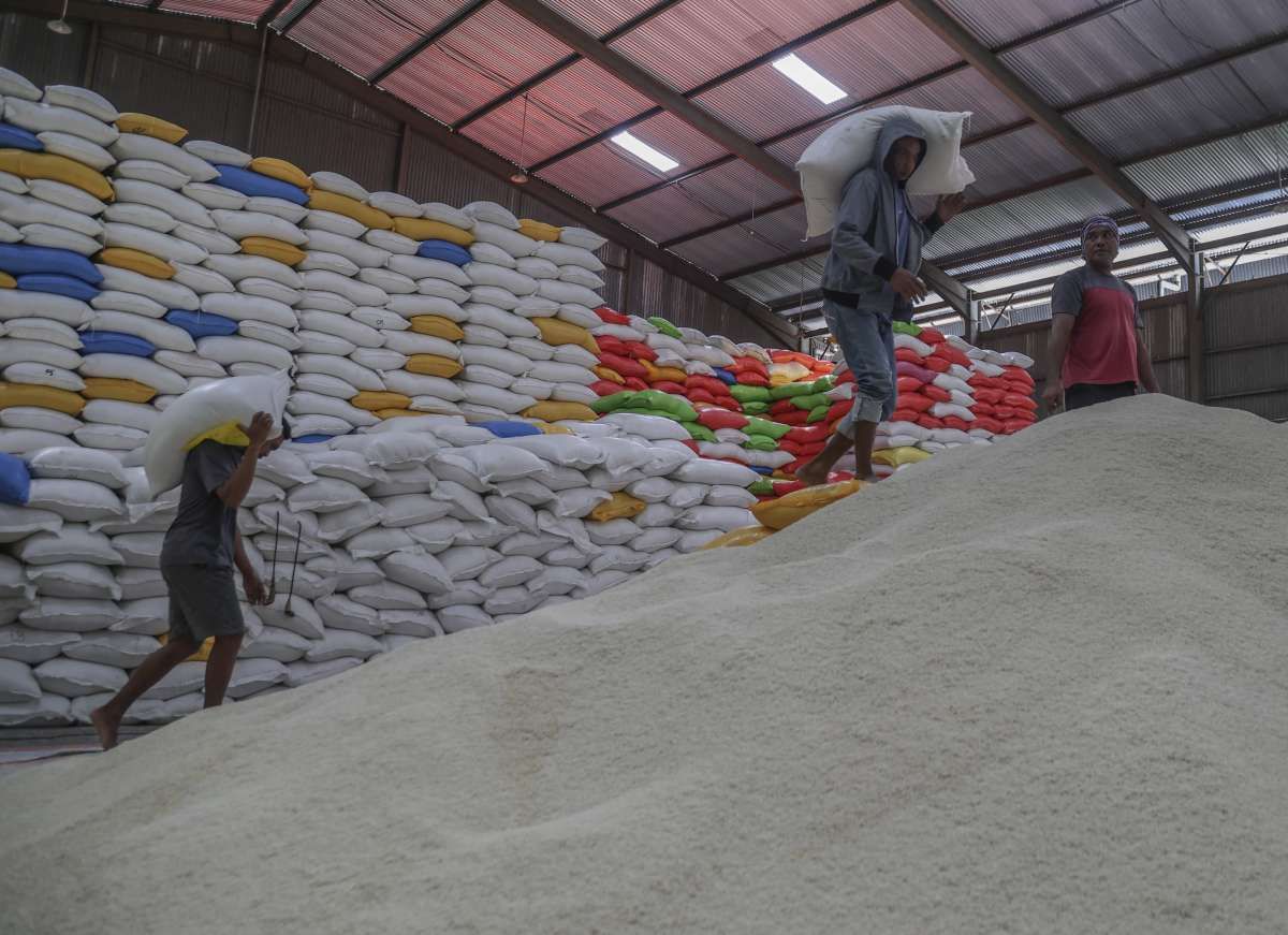 Impor Beras Ilegal Terkuak Saat Produksi Melimpah