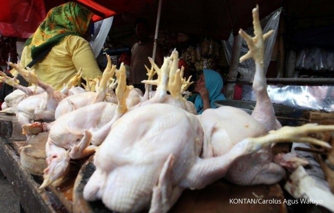Kemdag akan terbitkan Permendag terkait harga khusus untuk ayam