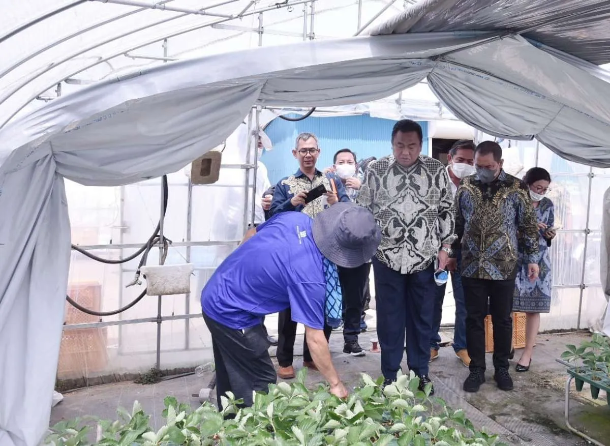Gobel Pelajari Keunggulan Pertanian Hokota