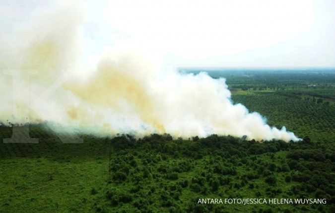 140 titik api terdeteksi di Kalimantan Barat