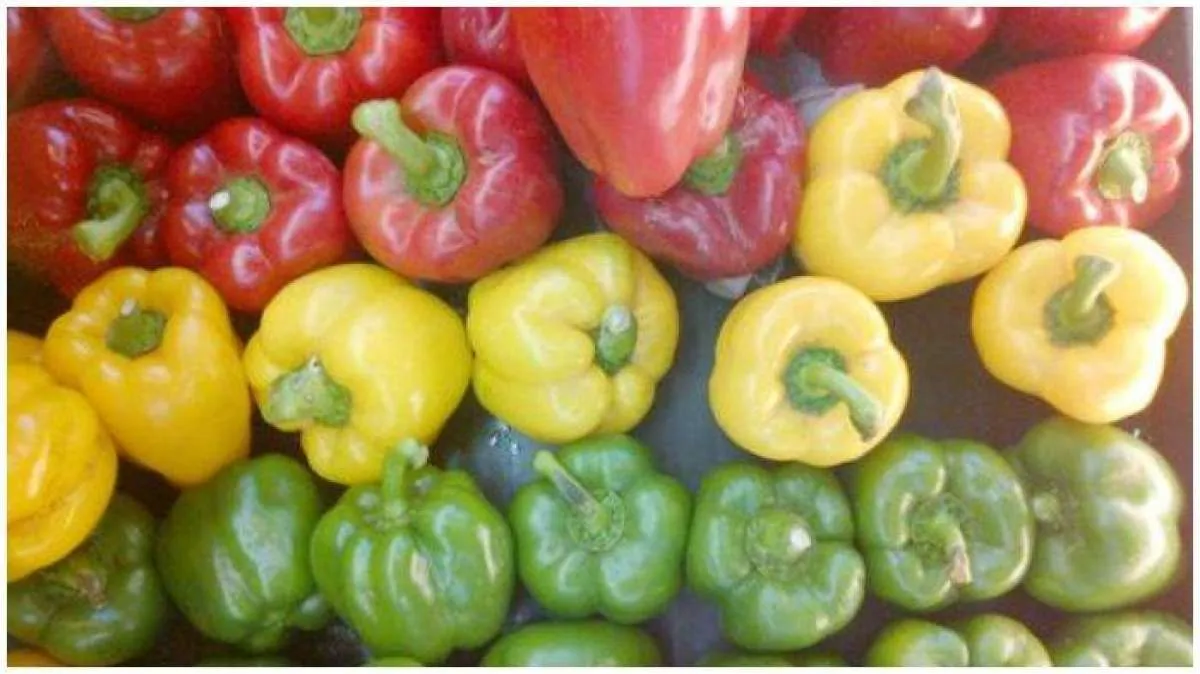 Makanan dan Minuman yang Bisa Membuat Kulit Tampak Bercahaya 