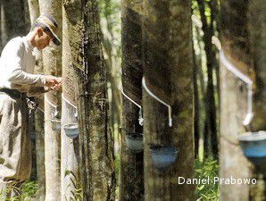 Indonesia, Malaysia dan Thailand akan Merundingkan Harga Karet Dunia 