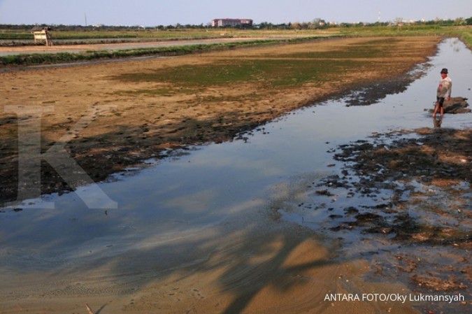 Ada 5.000 hektar di Gorontalo alami kekeringan