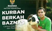 Harga Kambing Atau Domba Kurban di Nusa Tenggara Barat Tahun 2025 Menurut Baznas