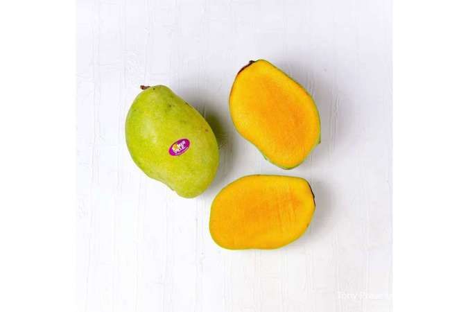 Kontan - Tony Prasetyo Seremonia Online