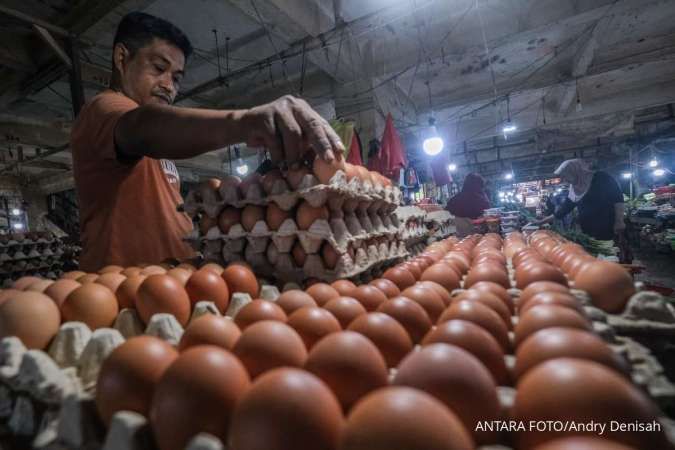 Harga Telur Anjlok, Mentan Pastikan Tunda Kenaikan Harga Pakan