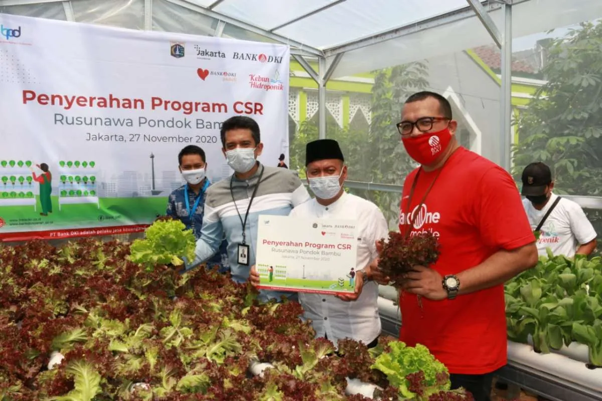  Bank DKI meluncurkan Program Kebun Hidroponik