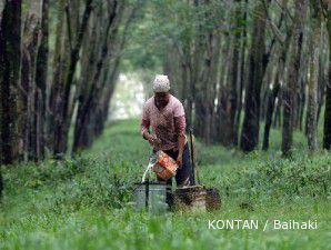 Harga karet anjlok, saham LSIP tumbang 4,4%