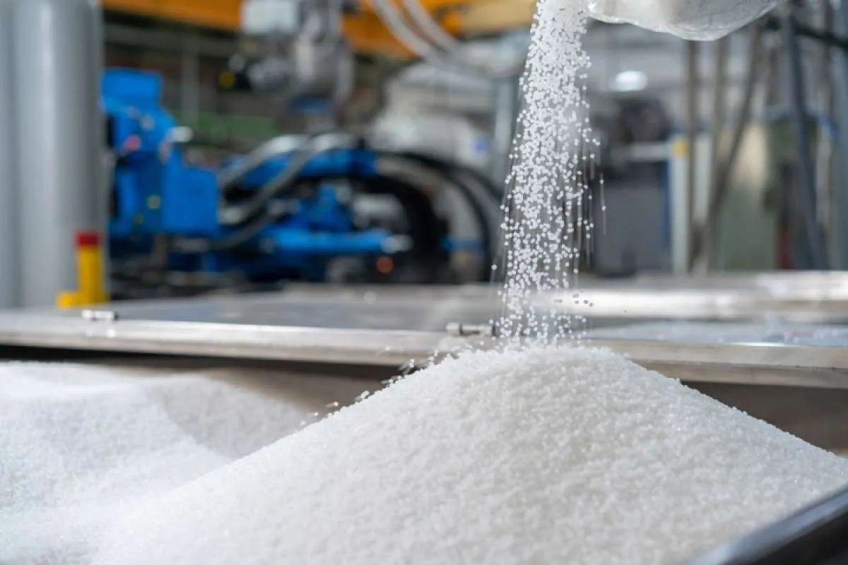 Sukses Cetak Laba, Berlina (BRNA) Incar Laba Setelah Pajak Rp 211 Miliar di 2026