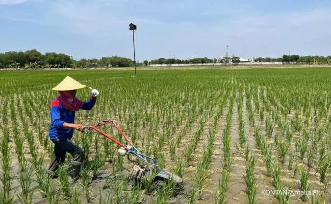 Prakiraan Cuaca Jawa Timur Besok Jumat (5/6) Cerah, Suhu Tembus 34°C