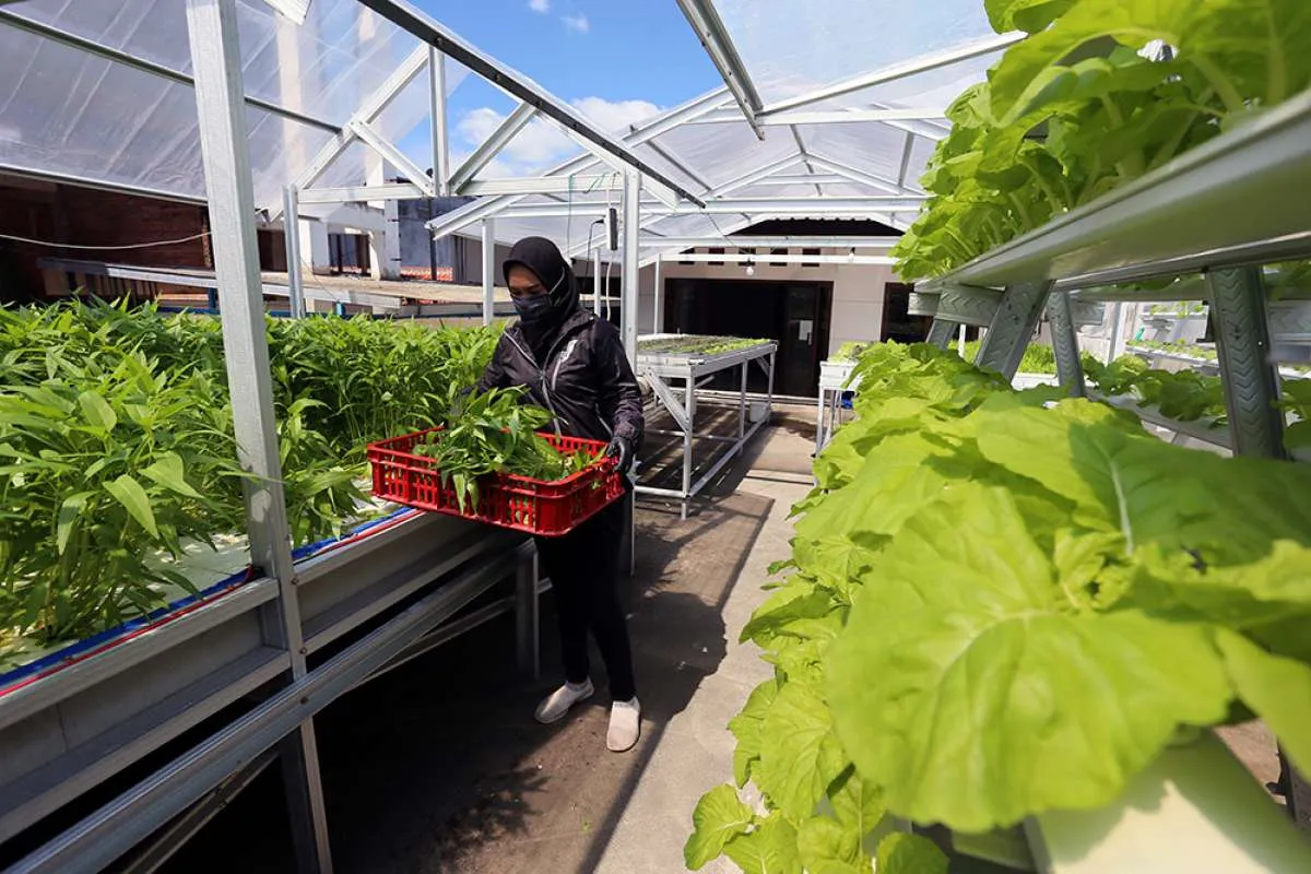 Jualan starter kit bisa raup omzet Rp 200 juta per bulan, tertarik mencoba?