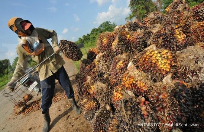  Gaji  Karyawan  Perkebunan  Kelapa  Sawit  2022 Cahunit com