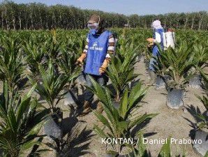 PTPN II terjun ke bisnis pembibitan kelapa sawit
