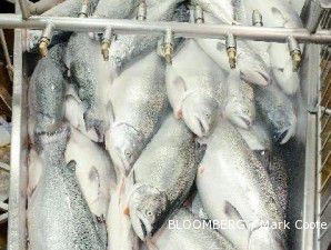 Cek mutu, FDA inspeksi pengolahan ikan Indonesia