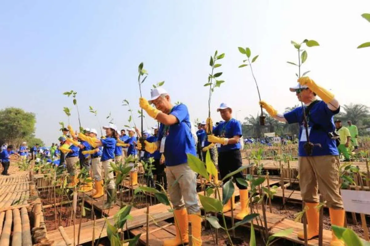 Antisipasi perubahan iklim, AEON Environmental (AEF) ikut tanam mangrove 