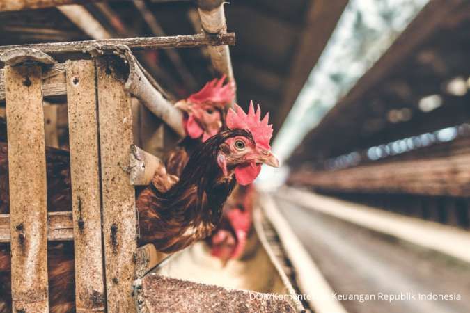 Kontan - Kementerian Keuangan Republik Indonesia Kilas Online