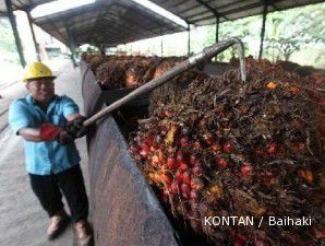 Hadapi kampanye hitam kelapa sawit, Indonesia dan Malaysia bentuk EPOC