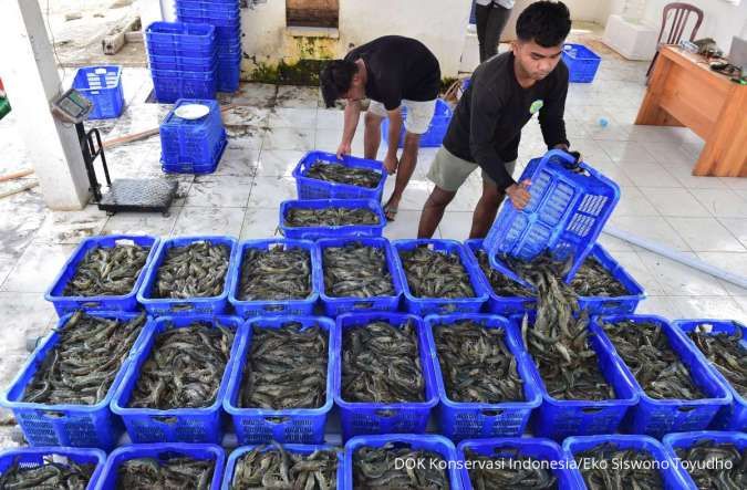 Isu Udang Radioaktif Diproyeksi Guncang Ekosistem Perikanan dari Hulu hingga Hilir