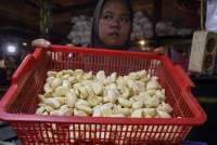 Harga Bawang Putih Melejit, Bapanas Siapkan Intervensi Panggil Importir & Distributor