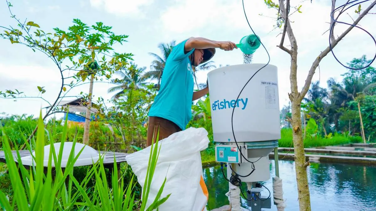 Kolaborasi KoinWorks dan eFishery dalam Menyalurkan Permodalan Bagi UMKM Perikanan