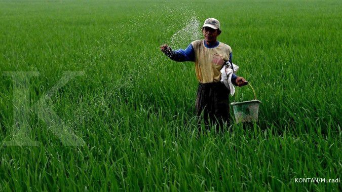 Kementrian Pertanian: Subsidi pupuk tetap ada