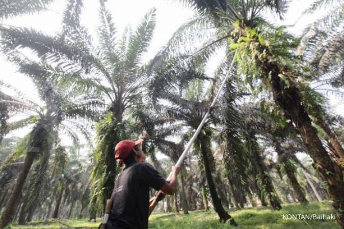 Indonesia Plans to Hike Biodiesel Mandate in Next Few Years
