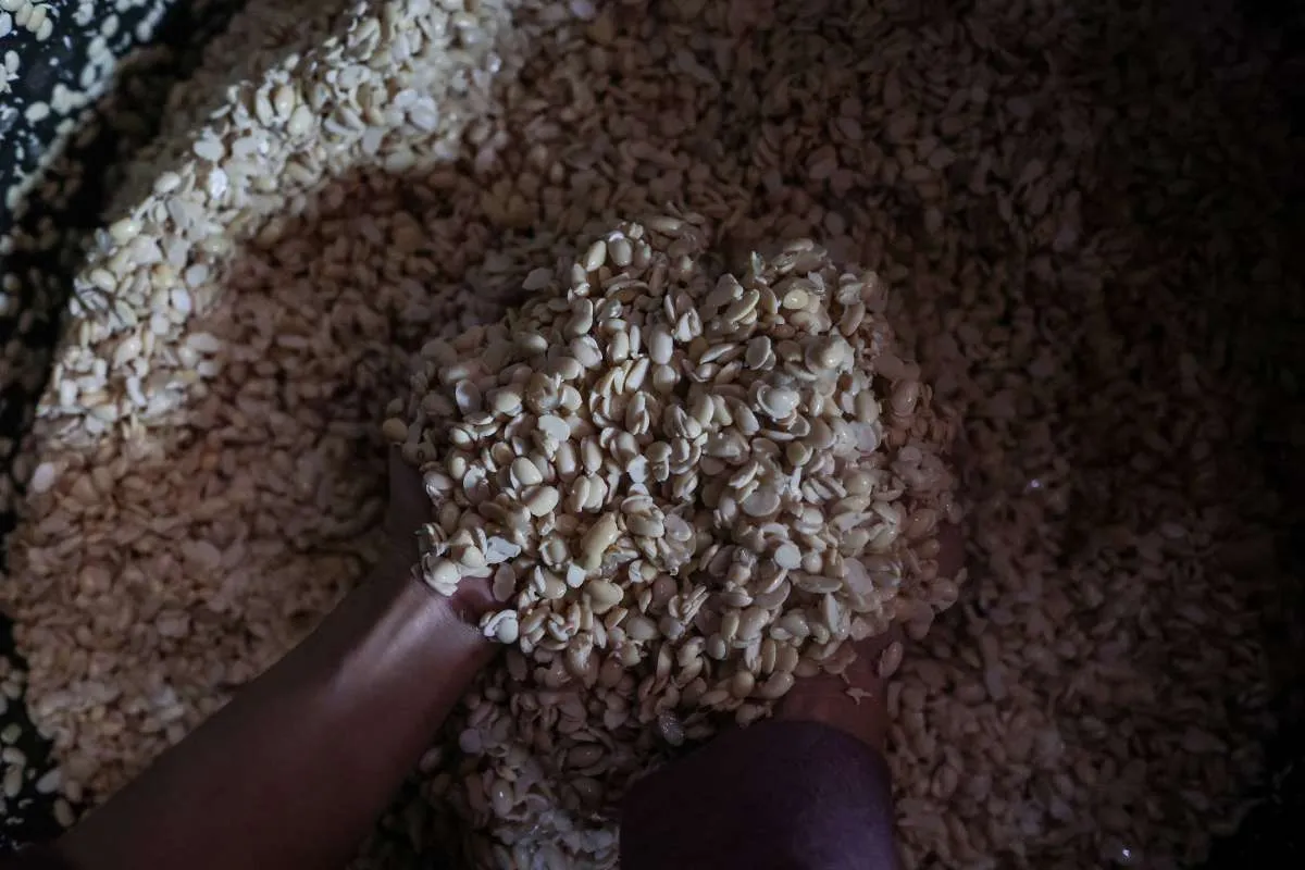 Zulhas Ungkap Biaya Produksi Pangan RI Lebih Mahal dari Negara Lain