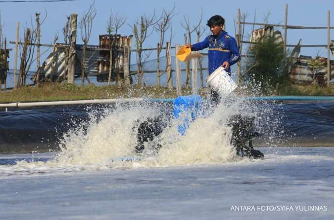 SCI Dukung Sertifikasi Cs-137, Tekankan Skema Transparan
