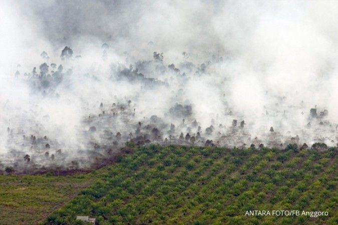 Petani sawit dukung uji materi aturan bakar hutan