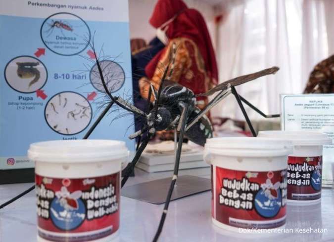 Ministry of Health: Wolbachia Bacteria Reduces the Frequency of Dengue Fever