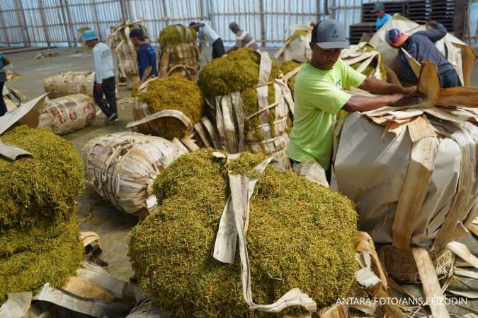 GAPPRI: Serapan Tembakau Lokal Bakal Turun Tajam dengan Adanya PP 29/204