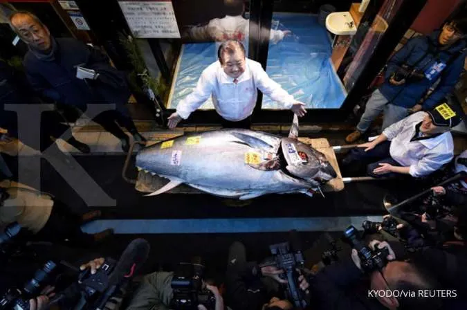 Record! A Bluefin Tuna Sold for Nearly Reaching US$ 800,000 at an Auction in Tokyo