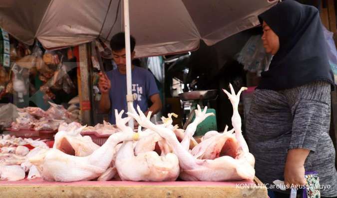 Kemendag Beberkan Biang Kerok Kenaikan Harga Daging Ayam Saat Ramadan
