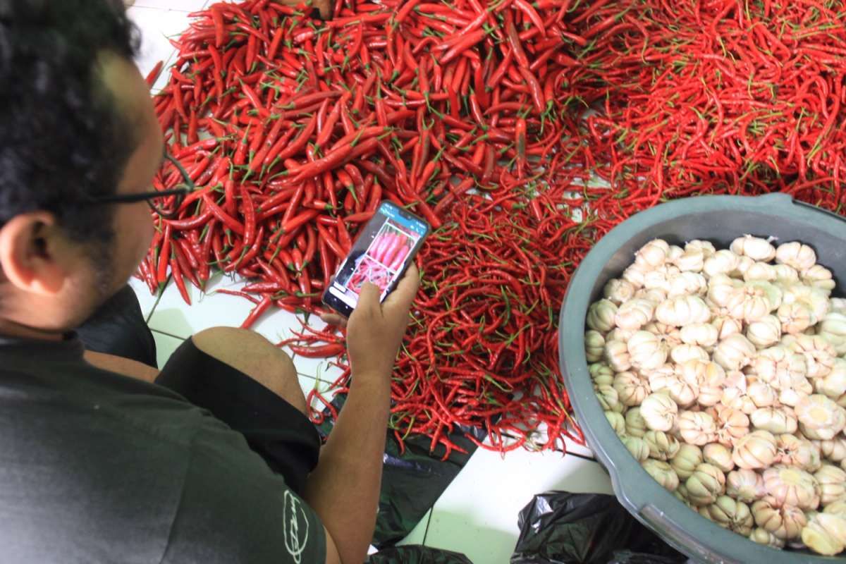 Jual bahan pokok via online