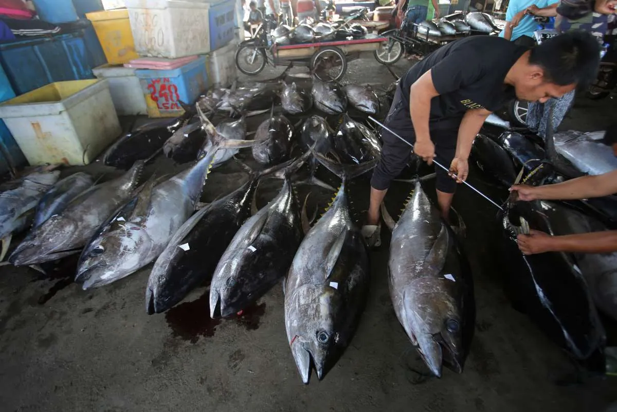 ICA-CEPA Buka Peluang Besar Ekspor Hasil Laut Indonesia ke Pasar Kanada