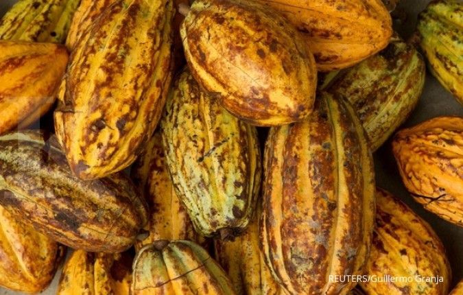 Punya Peliharaan Kelinci? Jangan Berikan Makanan Ini agar Kelinci Tetap Sehat