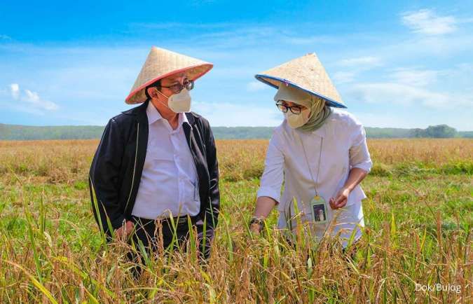 Direktur Bisnis Perum Bulog, Febby Novita (kanan).