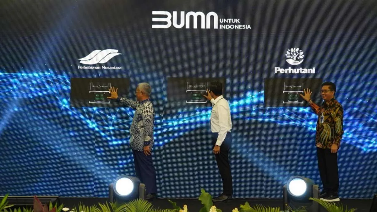 Perhutani Luncurkan Klon Unggul Jati dan Kayu Putih