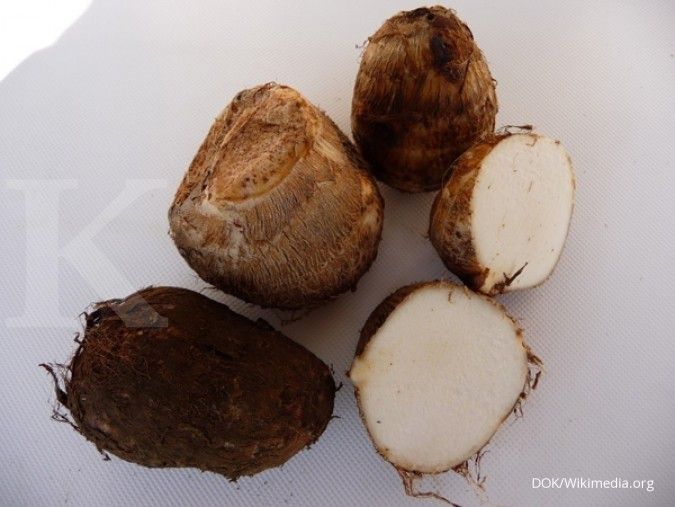 Rutin Konsumsi Talas Bisa Menurunkan Gula Darah